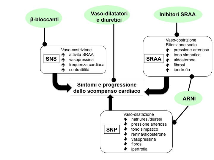 mostro italiano steroidi È il tuo peggior nemico. 10 modi per sconfiggerlo