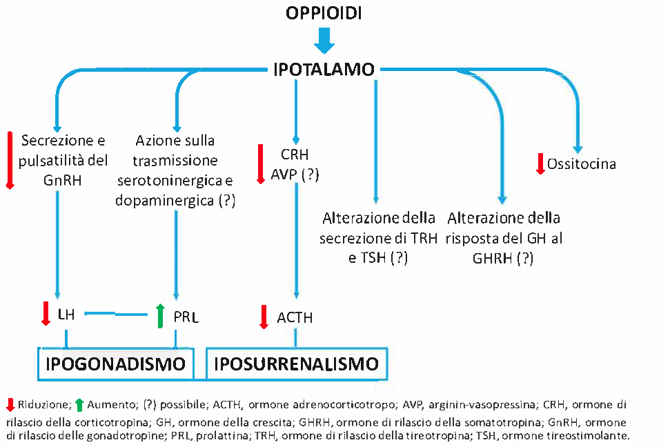 La guida avanzata alla Gold Line